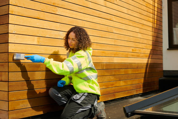 Affordable Siding Repair and Maintenance Services in Eastvale, CA